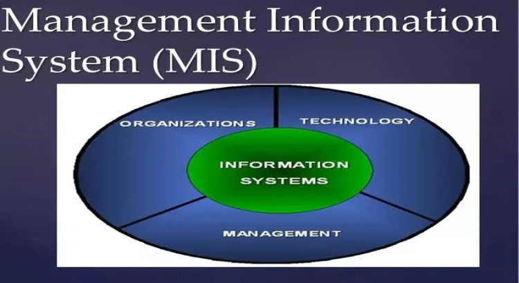 I will provide Management Information Systems (MIS) Academic Writing