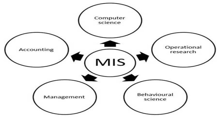 Management Information Systems (MIS):